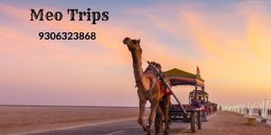 Jaisalmer Tour Packages