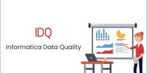 Informatica IDQ Online Coaching Classes in India, Hyderabad