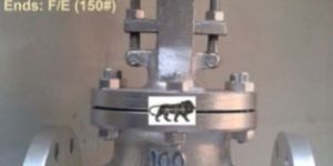 ASTM a 216 WCB Flanged Globe Valve