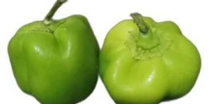 Organic Green Capsicum