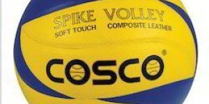 Cosco Spike Volley Ball