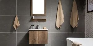 Bathroom Mirror Cabinet