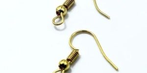 Earring Hoops