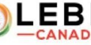 Business Consultants