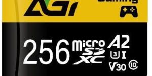 AGI U1/C10 MicroSd 256GB Memory card