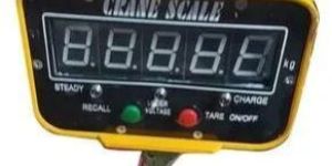 Electronic Crane Scale