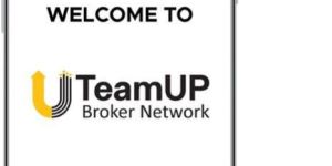 Real Estate Consultants