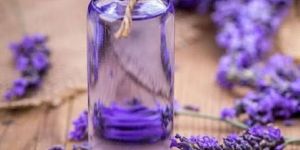 Lavender Essential Oil