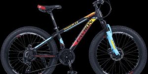 Famous DX 3.0 24 Hi-Ten Steel 21 Speed