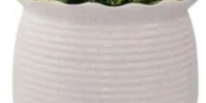 Round Ceramic Planter