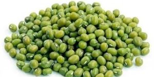 Green Gram Moong Beans