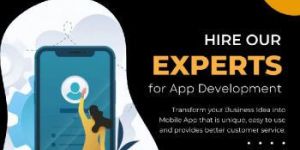 Application Development