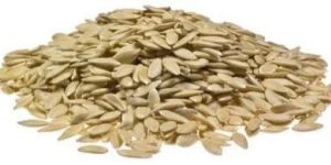 Cucumber Seed