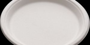 Biodegradable Paper Plate