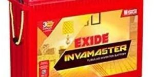 Exide Inverter Battery