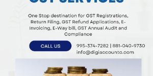 GST Consultant Service