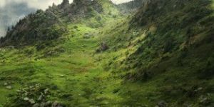 Tour And Travel Chandigarh