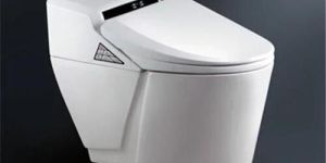Electronic Toilet