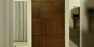 Teak Flush Door