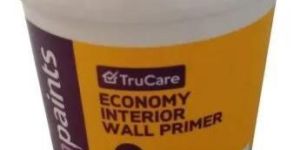 Asian Interior Wall Primer