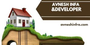 Real Estate Development