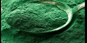 Spirulina Powder