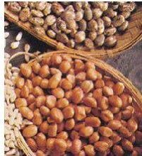 Groundnuts