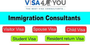 Visa and Immigration Consultants
