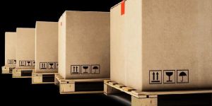 International Cargo