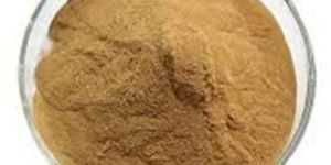 Carica Papaya Extract