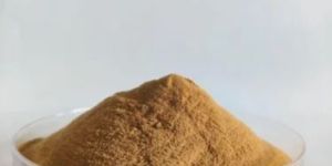 Ginseng Extract Powder