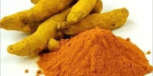 Turmeric Spice