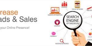 Search Engine Optimization Services