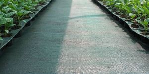 Black Ground Cover Film