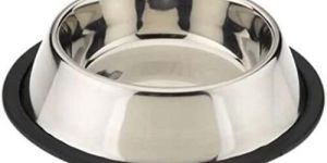 Stainless Steel Dog Bowl