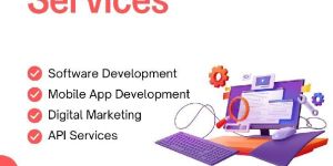 Website Development Services
