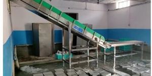 Flight Conveyors