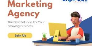 Digital Marketing Agency