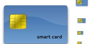 Biometric Access Smart Card