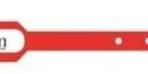 Paper RFID Wristband