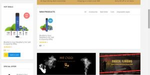 Ecommerce Development Services