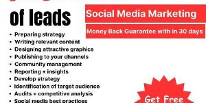 Search Engine Optimization Services