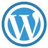 Wordpress Website Developmet Service