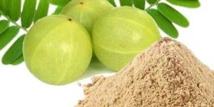 Amla Extracts
