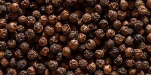 Black Pepper Seeds