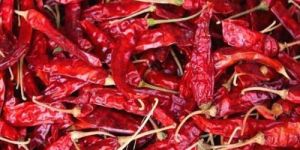 Dried Red Chilli