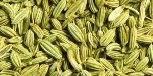 Fennel Seeds