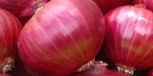 Fresh Red Onion