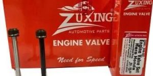 Hero Honda Engine Valve