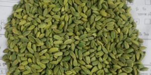 Cardamom